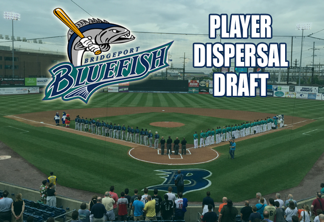 ATLANTIC LEAGUE HOLDS BLUEFISH PLAYER DISPERSAL DRAFT