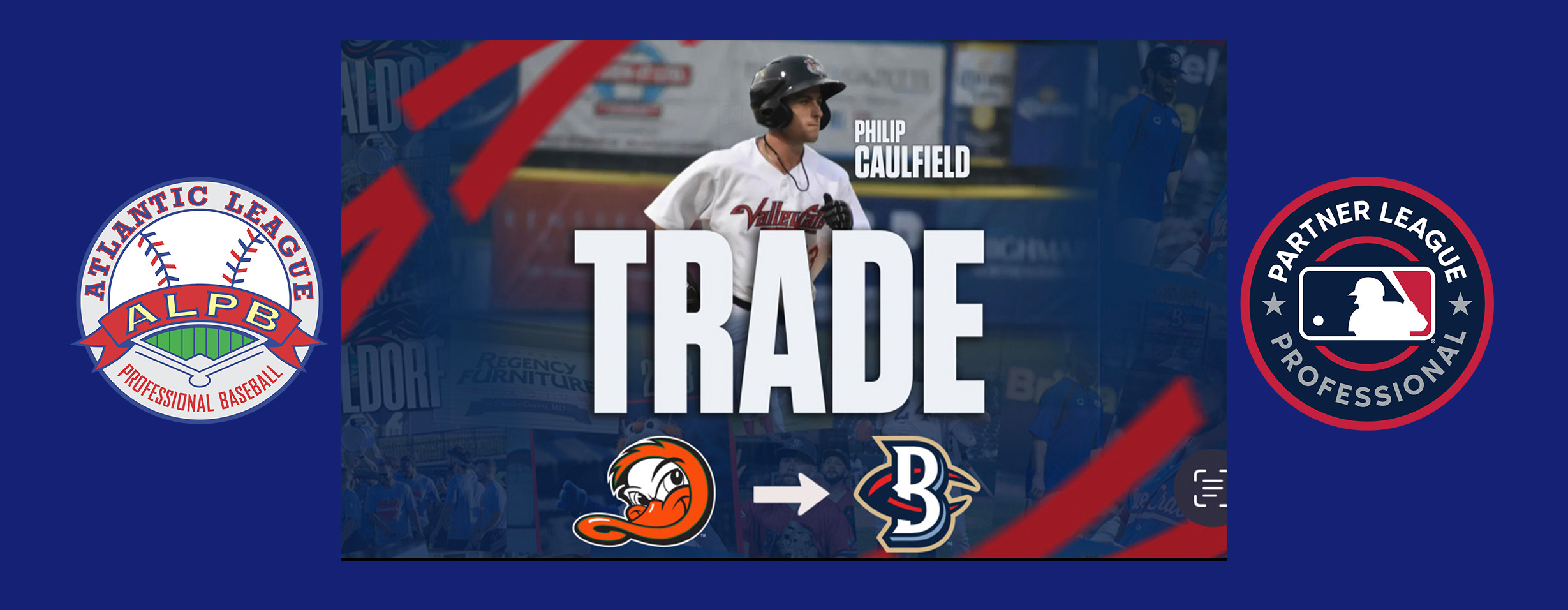 Blue Crabs acquire Caulfield from Ducks